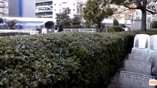 教授好会C萧牧野苏菲免费阅读厨房干起来